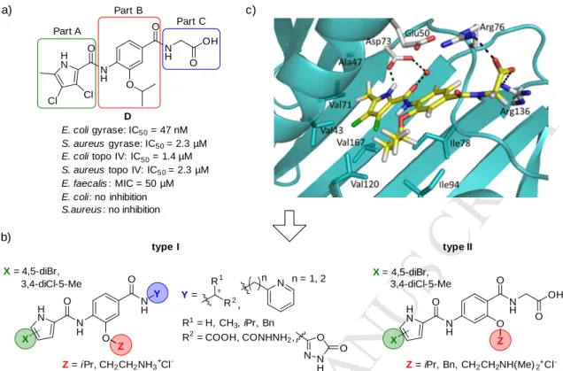 Figure 2. a) A representative N-phenylpyrrolamide D and its inhibitory activities on DNA gyrase  and topoisomerase IV [16]; b) Structures of type I and type II N-phenylpyrrolamide inhibitors; c)  Docking binding mode of inhibitor D coloured according to th