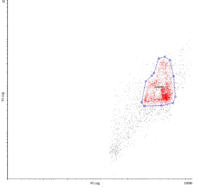 Figure  4.  Differentiation  of  sperm  population  based  on  forward  scatter  versus  side  scatter  285 