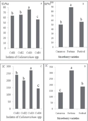 Fig. 2. Average percentage of severity index (IS) and infection coefficient (CI) in regard to  Colletotrichum isolates (A and C) and the three strawberry varieties (B and D)  