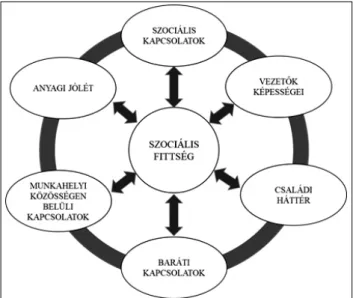 5. ábra. A szociális fittség rendszere [Military Medicine, 2010, 89. o.]