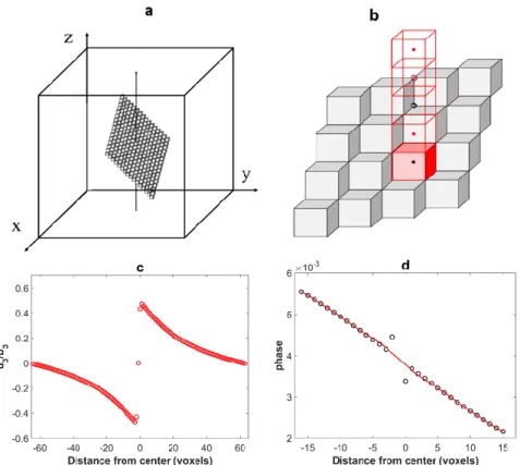 Figure 2. (a) Modeling of a dislocation loop in a (111) plane as a layer of voxels with eigenstrain; (b)  position of the computed points relative to the transformed voxels with eigenstrains; (c) plot of the  displacement field  