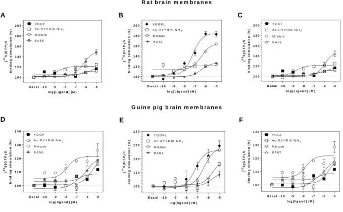 Fig. 4. Peptide agonist induced activation of G-proteins in rat brain (A-C) and in guinea pig  brain  (D-F)  membranes