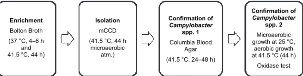 Fig. 1. Conventional method of detection of Campylobacter spp. The enrichment culture Bolton  Broth is standardised in ISO 10272-1.2006 
