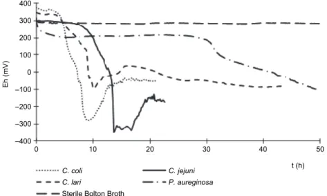 Fig. 2. Characteristic redox potential curves obtained by monitoring the growth of pure bacterial  cultures of three Campylobacter ssp