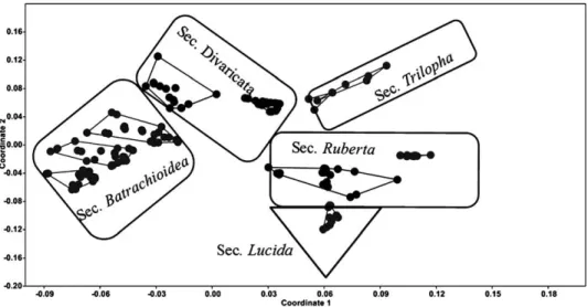 Fig. 3. Multidimentional scaling plots of morphological characters revealing species de- de-limitation in subg
