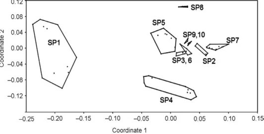 Fig. 4. MDS plot of Geranium species based on ISSR data. SP1 = G. molle, SP2 = G. pyrenai- pyrenai-cum, SP3 = G