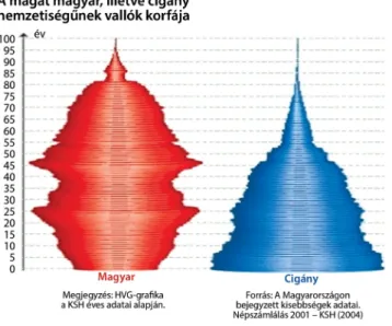 3. ábra A Magyarországon élők korosztályi megoszlása nemzetiség sze- sze-rint – magyar, illetve roma korfa (Forrás: HVG-ténytár) 