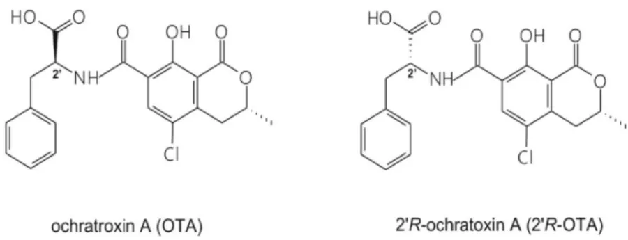 Figure 1. Chemical structures of the parent compound ochratoxin A (OTA) and its diastereomer 2’R- 2’R-ochratoxin A (2′R-OTA)