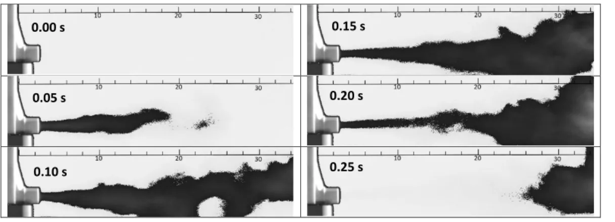 Figure 5 shows selected high speed camera images recorded during the emission of aerosol bolus in  quiescent air