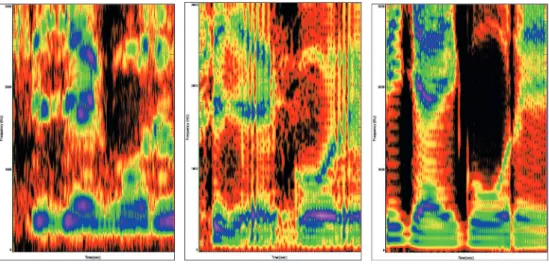 1. ábra: Ismeretlen beszélő (1.); gyanúsított (2.); tesztszemély (3.) spektrogramja. Forrás: a szerző Mindhárom képen ugyanazon hangsornak („góré”) a spektrografikus (SPG) képe  látha-tó