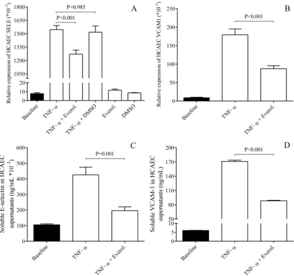 Fig 1. Analysis of E-selectin and VCAM-1 expression at mRNA and protein levels in HCAECs after TNF-α stimulation.