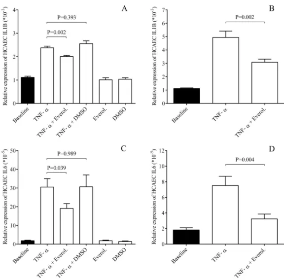Fig 2. Everolimus decreased EC inflammation via lowered IL-1β and IL-6 expression in ECs