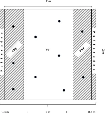 2. ábra Egy 2×2 m-es kvadrát elhelyezkedése – az 5-5 elhelyezett felvételi ponttal – a 2,6 m széles  közelítőnyomon (KNy: keréknyom, TK: tengelyköz) 