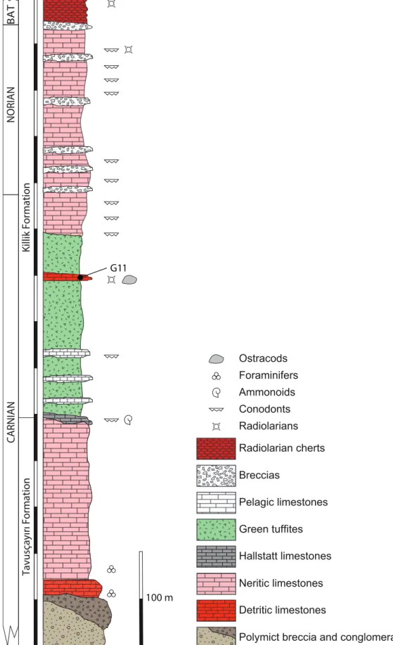 FIGURE 2. Stratigraphic log of the Tavusçayiri Block with the position of the studied sample G11 which yielded the present ostracod assemblage.
