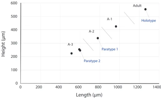 FIGURE 5. Length/height scatter plot of Bairdiacypris sorgunensis Forel sp. nov. All specimens are from the Tetrapo- Tetrapo-robrachia haeckeli  radiolarian  Zone,  Julian,  Middle  Carnian,  Late  Triassic  (Forel  et  al.,  2017)