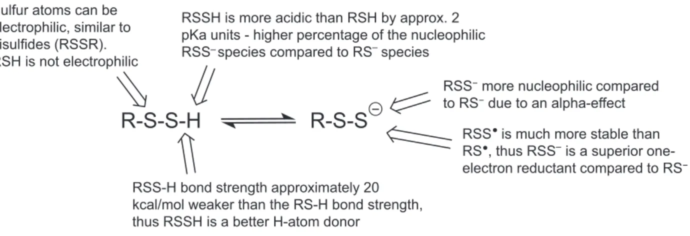 Fig. 3. Comparative properties of RSS  /RSSH versus RS  /RSH.