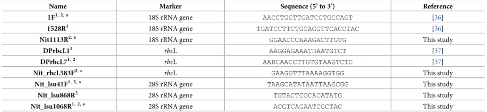 Table 1. Primers used for amplification and sequencing of 18S rRNA and rbcL genes from the undescribed Nitzschia species.