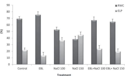 Fig. 2. Effects of 24-epibrassinolide (10 µM) on leaf relative water content (LRWC) and electrolyte leak- leak-age percent (ELP) in growing squash seedlings under salt stress (100 and 150 mM NaCl)