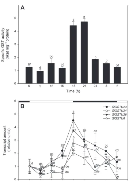 Fig. 1. Circadian changes in the GST expression and activity in tomato plants: A – Specific GST activity  towards artificial substrate CDNB