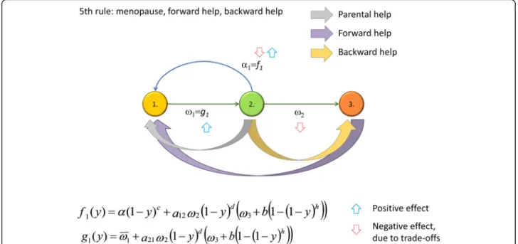 Fig. 6 Numerical example for a 2 × 2 Leslie matrix (see Additional file 1 for details)