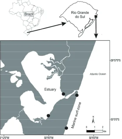 Figure 1. Map of Brazil and its southernmost state (Rio Grande do Sul) where is located the  Tramandaí-Armazém estuarine complex