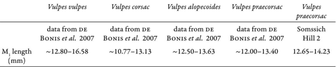 Table 1. Length data of the Somssich Hill 2 fox M 1 -s compared to some other species Vulpes vulpes Vulpes corsac Vulpes alopecoides Vulpes praecorsac Vulpes 