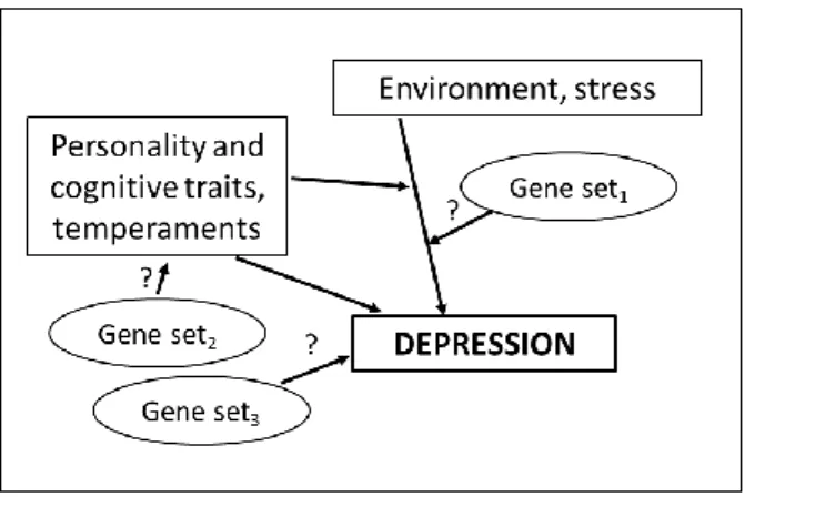 Figure 2. Proposed mechanism for the development of depression (Bagdy et al., 2012) 
