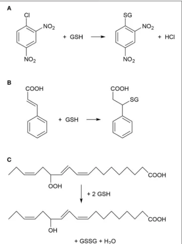 FIGURE 1 | Typical chemical reactions catalyzed by plant glutathione S-transferase (GST) enzymes