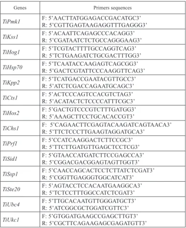 Table 2. Primers used in semi-quantitative and quantitative PCR analysis 