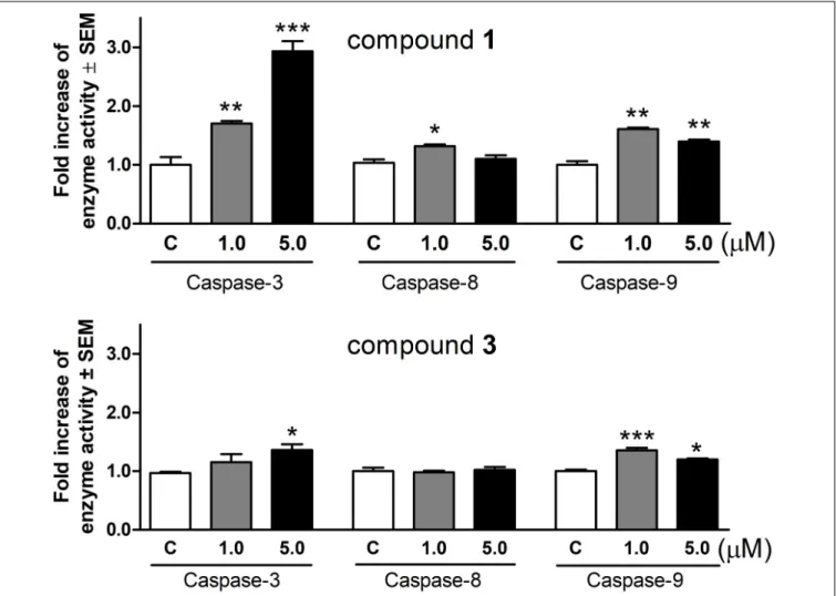 FIGURE 5 | Activation of caspase-3, caspase-8, and caspase-9 enzymes in HeLa cells after incubation with compounds 1 and 3 for 72 or 24 h, respectively