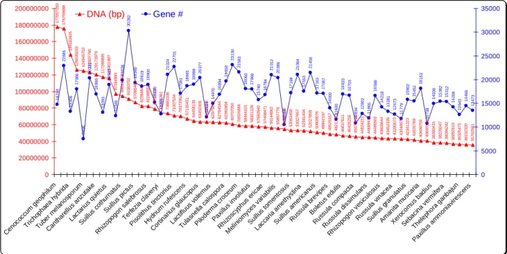 Figure  2a. Genomes  sizes  (DNA  in  bp)  and  gene  numbers  (#)  of  65  mycorrhiza  fungi