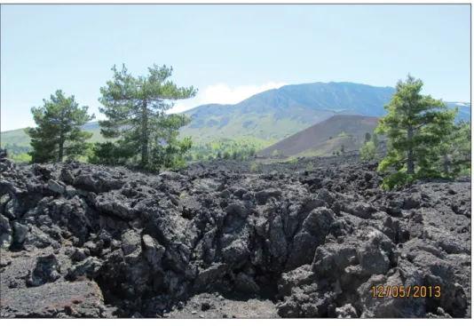Fig. 7: On the Etna