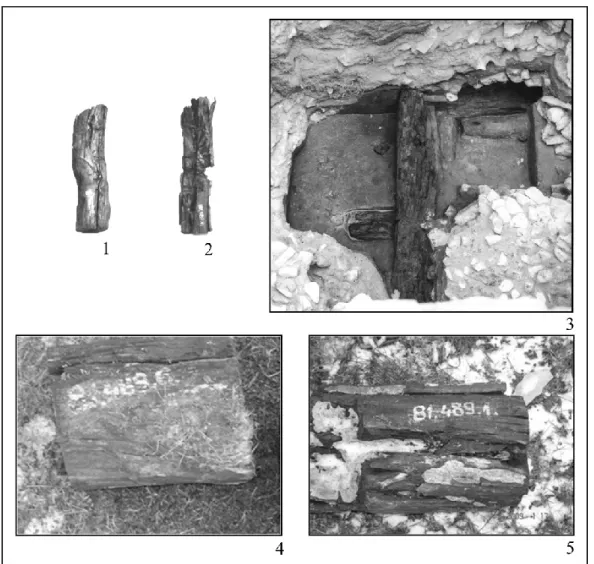 Fig. 5. 1–2: The photos of the beams acc. no. 81.489.6 and 81.489.1 (Szfv8 and Szfv7) from the King St
