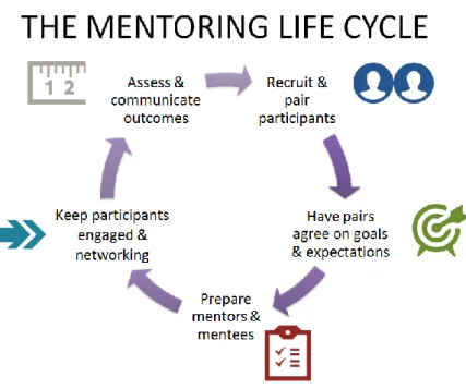 Figure 1: The mentoring life cycle  Source: https://www.apqc.org 