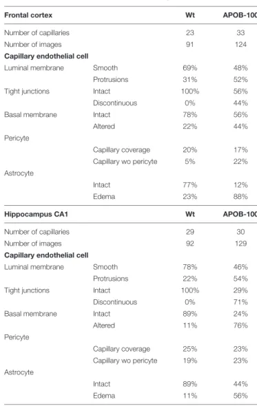 TABLE 1 | Summary of changes in BBB ultrastructure in the frontal cortex and hippocampus of wild-type (Wt) and APOB-100 transgenic (APOB-100) mice.