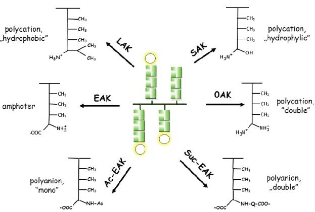 Figure  5:  Schematic  structure  of  XAK  type  branched  chain  polymeric  polypeptide  with  poly[L-Lys] backbone