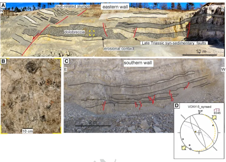 Fig. 3    Pilikán quarry (L2). a Dolobreccia intercalation of the Upper Norian Rezi F