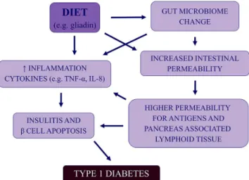 Figure 4. General schema outlining the possible relationships between gut microbiota/integrity and development of type 1 diabetes in genetically predisposed individuals