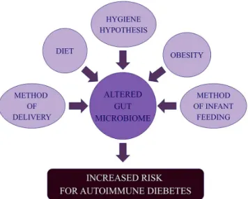Figure 3. Environmental factors that may directly or indirectly alter the intestinal microbiome and therefore affect the risk of autoimmune diabetes