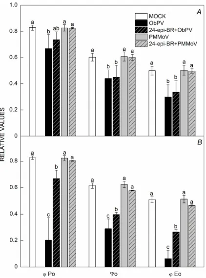 Fig. 2. Quantum efficiencies characterizing PSII in  pepper leaves following ObPV, PMMoV, and  MOCK (control) inoculation 48 (A) and 72 hours (B) after inoculation (hpi), with or without a pretreatment  with 100 nM 24-epibrassinolide (24-epi-BR)