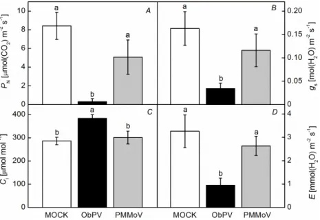 Fig. 4. Changes in the gas-exchange para- para-meters of pepper leaves following ObPV,  PMMoV, and MOCK (control) inoculation  48 hours after inoculation (hpi)