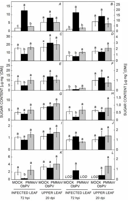 Fig. 5. Effects of ObPV and PMMoV inoculations on  the content of soluble sugars and sugar alcohols in the inoculated, lower leaves as well as in the systemic, uninfected upper leaves of pepper plants