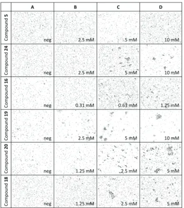 Figure  8. Representative images of optical microscopy observation (200x) of  bacterial  cell  aggregation  for  Photorhabdus  asymbiotica subsp