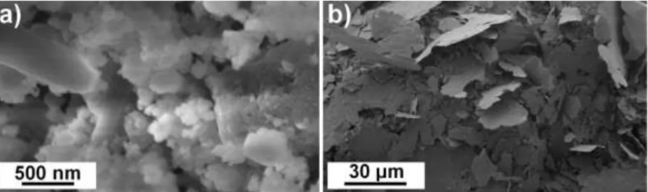 Figure 1. SEM images taken on the milled a) BN and b) 316L+2BN powder. 