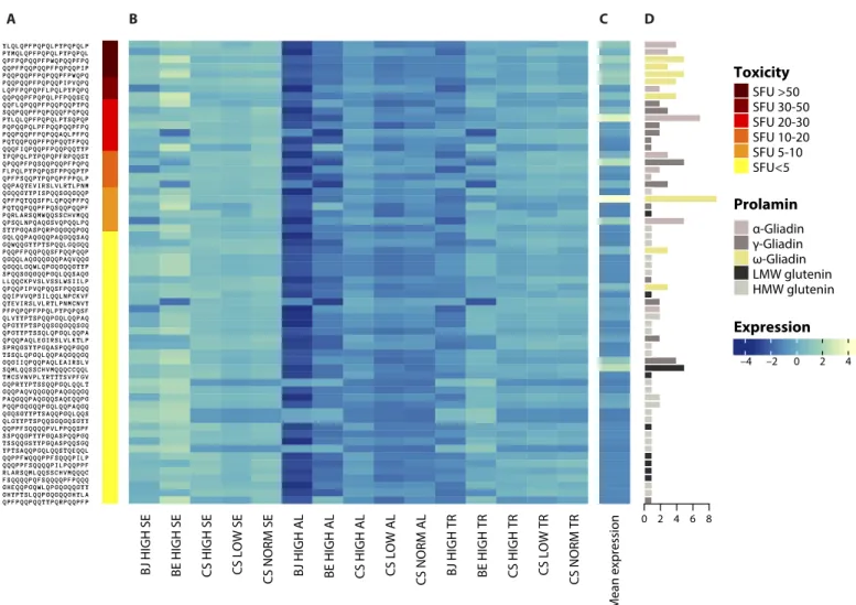 Fig. 6. Expression profile of the 54 genes encoding the 63 identified immunoreactive gliadin and glutenin peptides in the cells of the endosperm of Bjarne and  Berserk at high temperature and Chinese Spring at high, low, and normal temperatures