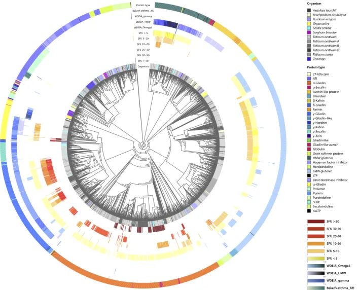 Fig. 3. Epitope mapping and phylogenetic analysis in Prolamin clan (CL0482) protein families, HMW glutenins, and -gliadins