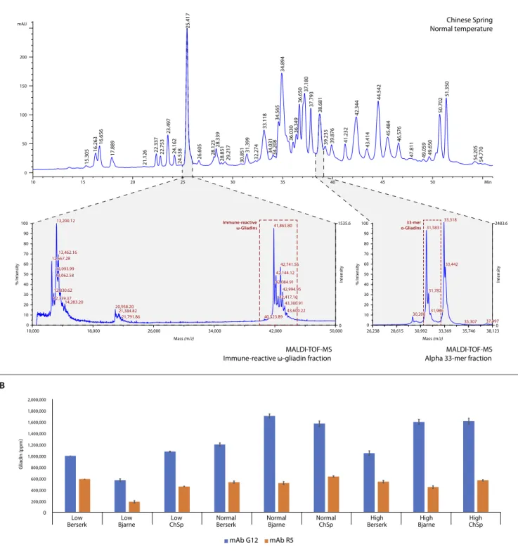 Fig. 4. Quantification and protein profiling of major immunoreactive protein types in Chinese Spring, Bjarne, and Berserk
