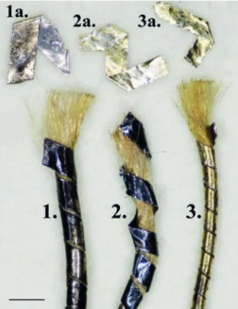4. ábra. Különböző mértékben korrodá- korrodá-lódott aranyozott ezüstfonalak és a  fel-használt fémszalagok egy-egy letisztított 