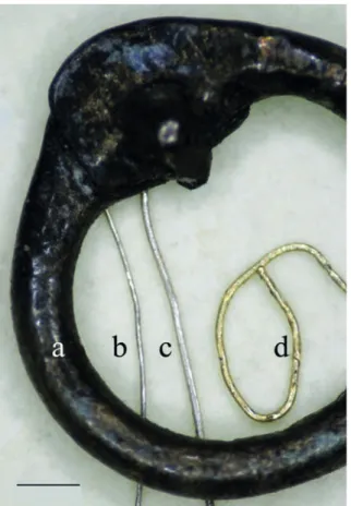 ábra a). 65  E karikák kb. 0,5–0,6 milliméter vastagságú,  nagy valószínűséggel tűziezüstözött sárgaréz drótból  készültek, vagy utólag ezüstözték azokat