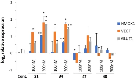 Figure  5.  Induction  of  hypoxia-related  gene  and  glucose  transporter  expression